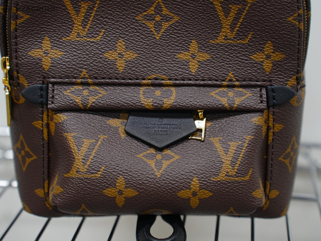 Louis Vuitton Palm Springs Backpack Shoulder bag Almost Brand NEW