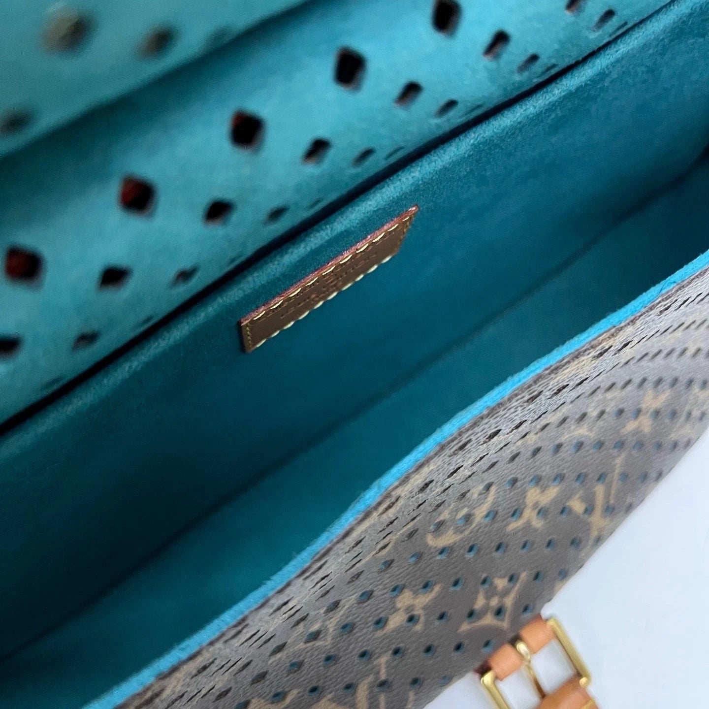 Louis Vuitton Saumur Flore Perforated Monogram Crossbody Bag Shoulder Bag Women