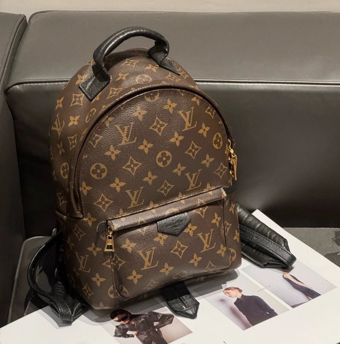 Louis Vuitton Palm Springs Monogram Canvas Backpack Brown Gold Women Classic