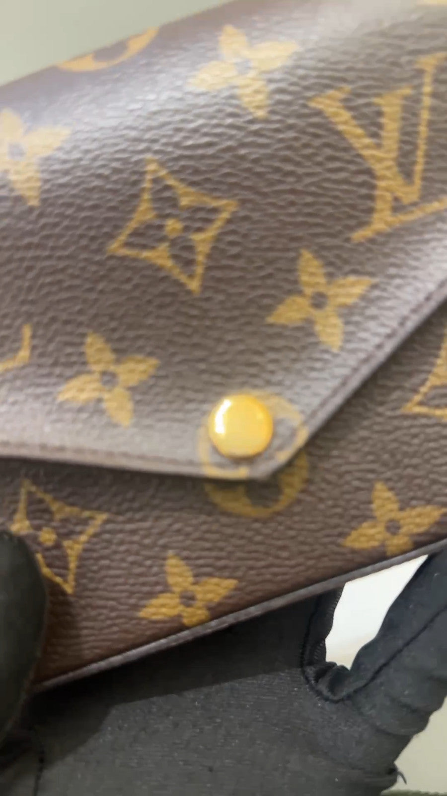 Louis Vuitton Pochette Accessoires Monogram Shoulder bag Crossbody Women