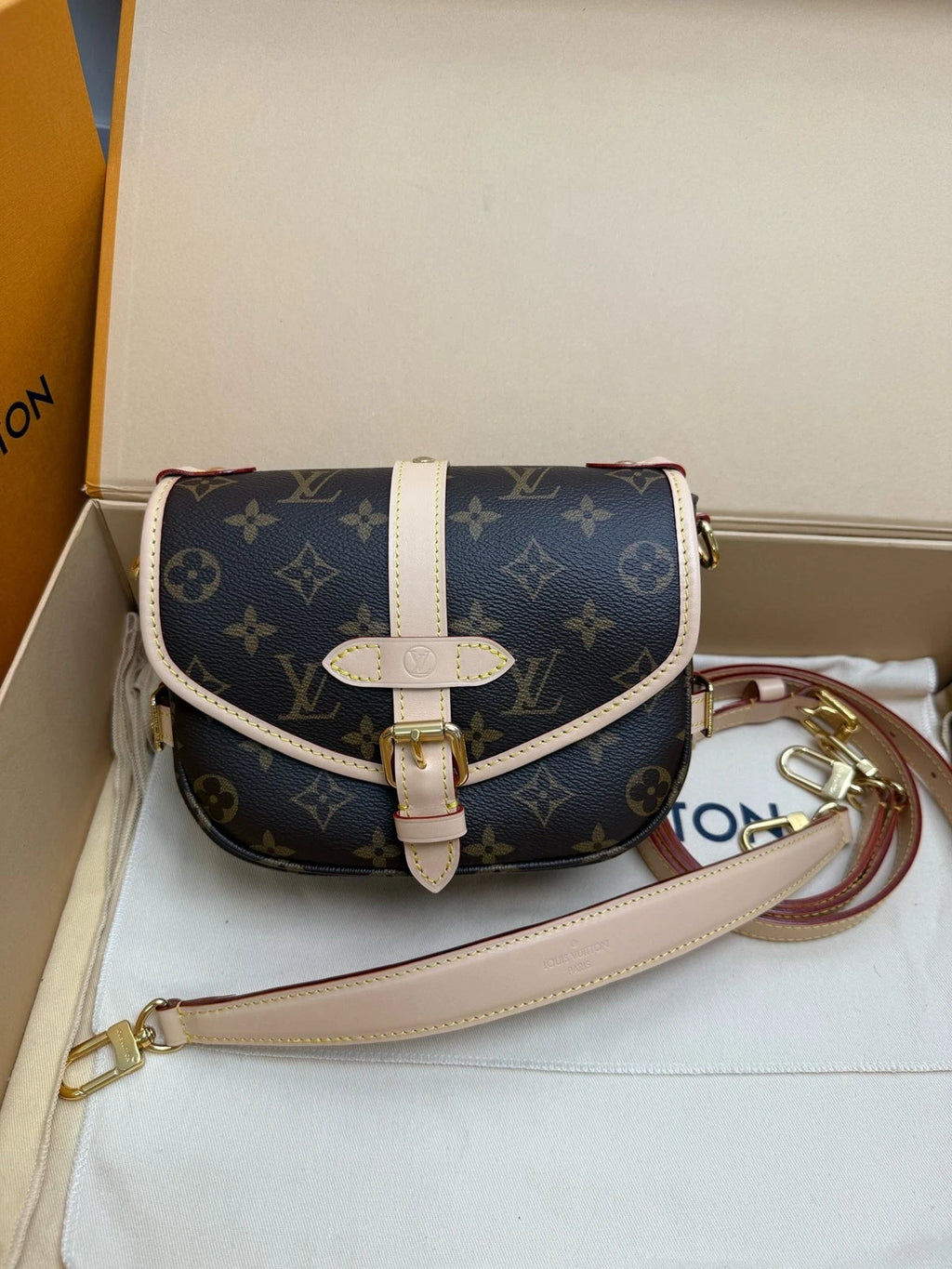 Louis Vuitton Canvas Twin Shoulder Bag For Women