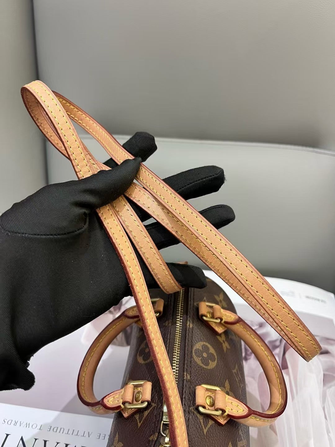 Louis Vuitton Speedy NANO Monogram Shoulder Handbag Crossbody WOMEN