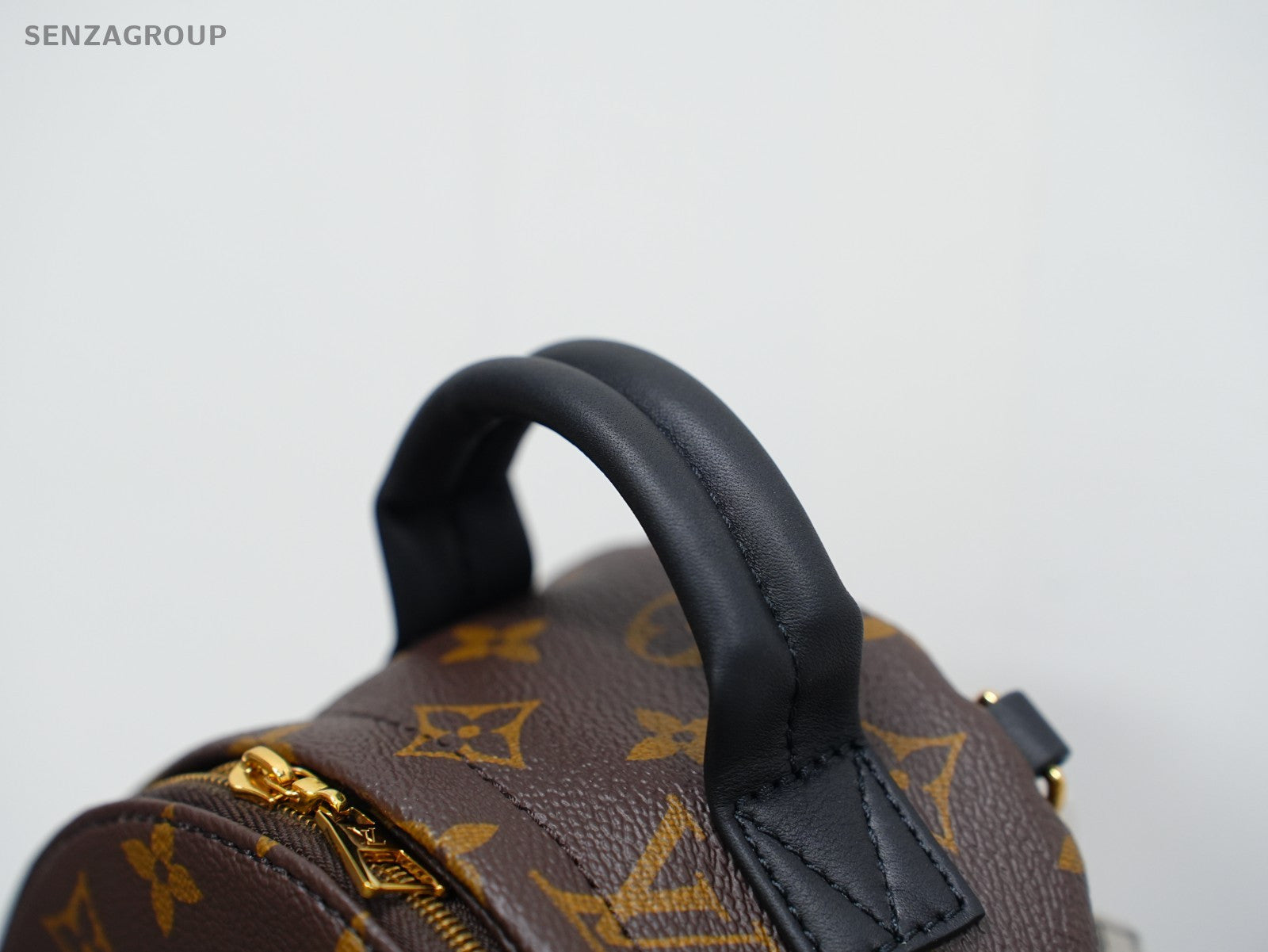 Louis Vuitton Palm Springs Backpack Shoulder bag Almost Brand NEW
