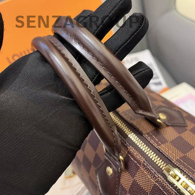 Louis Vuitton Damier Ebene Speedy 25 Handbag Shoulder Bag Gold Hardware