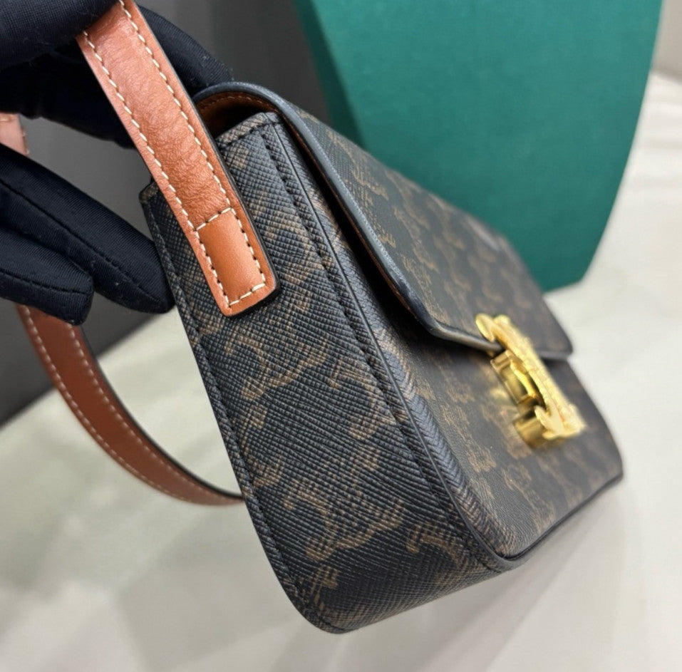 Celine Triomphe Canvas Shoulder Bag Black Brown Gold Women Classic Fashion
