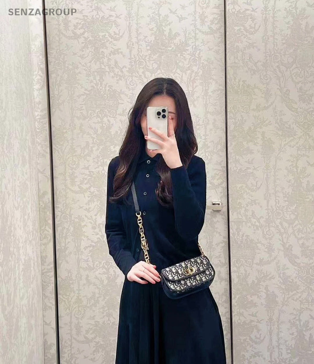 Christian Dior Oblique Avenue PM Monogram Chain Shoudler bag Crossbody Women