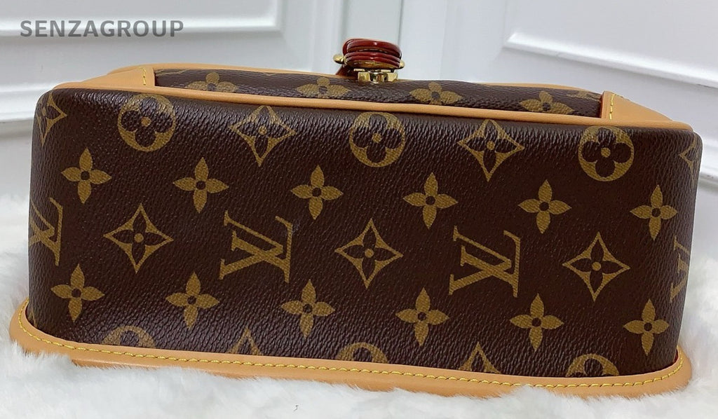 Louis Vuitton Diane Monogram 2way Shoulder bag Crossbody Women Brown