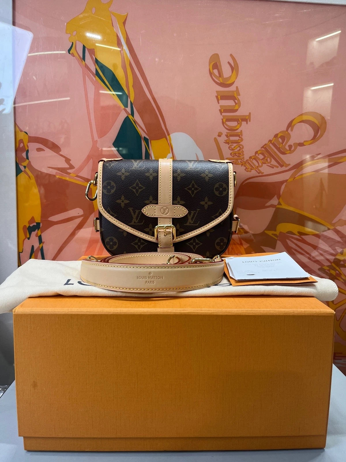 Louis Vuitton Saumur BB Canvas Shoulder Crossbody Bag For Women
