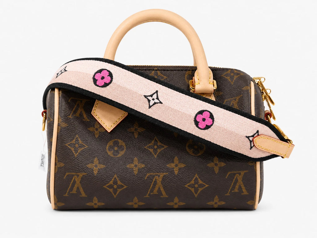 Louis Vuitton Speedy20 Monogram Canvas Top Handle Bag Excellent