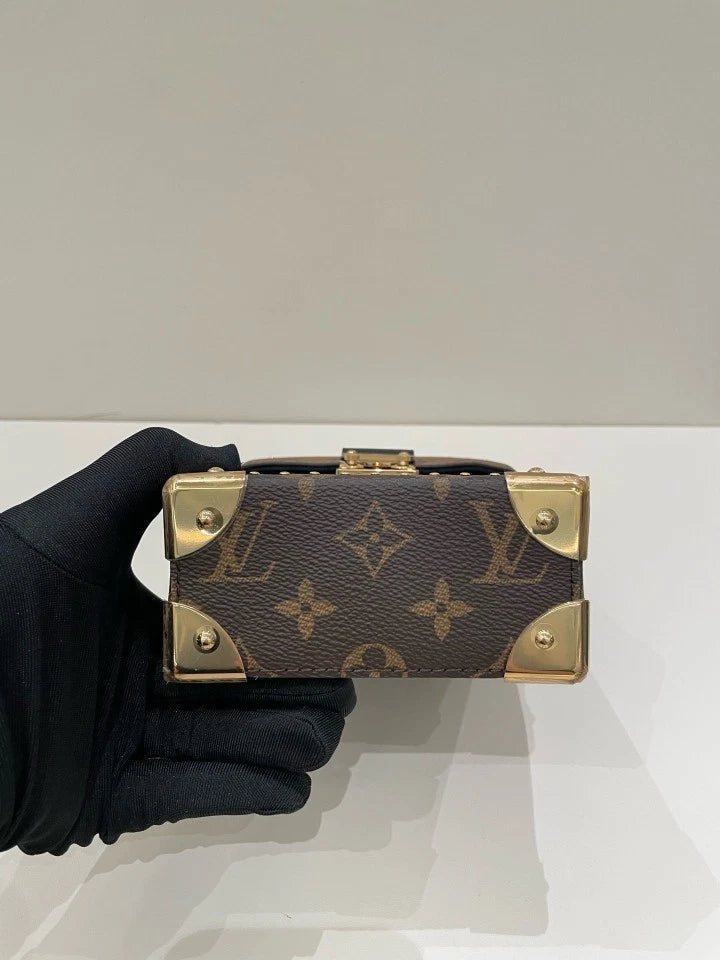 Louis Vuitton Brown Leather Camera Box Crossbody Bag For Women
