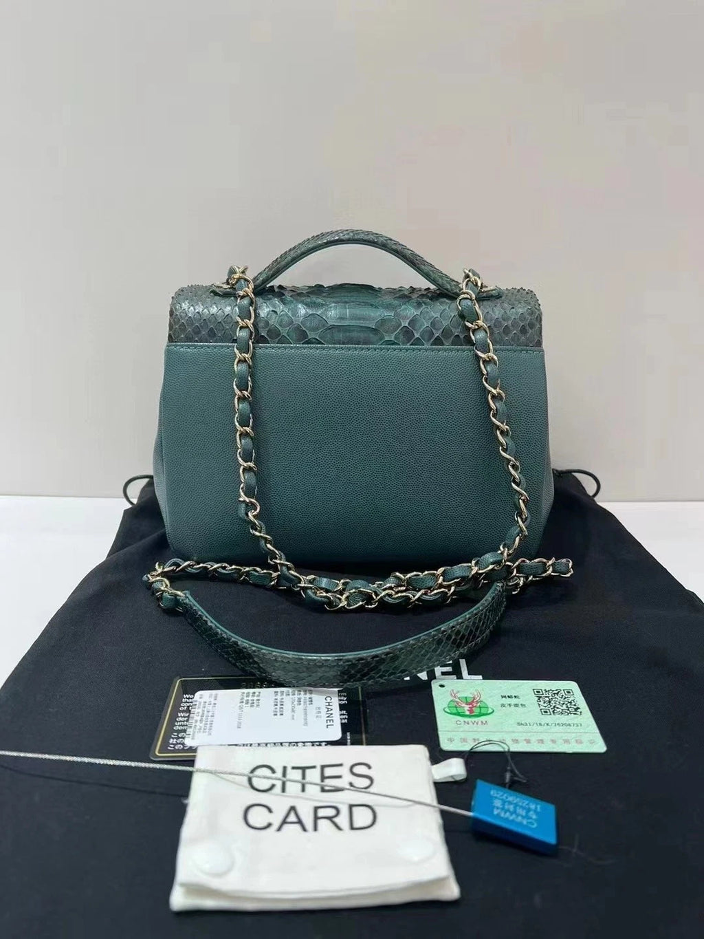 CHANEL Limited Green Patchwork Crossbody Bag For Women