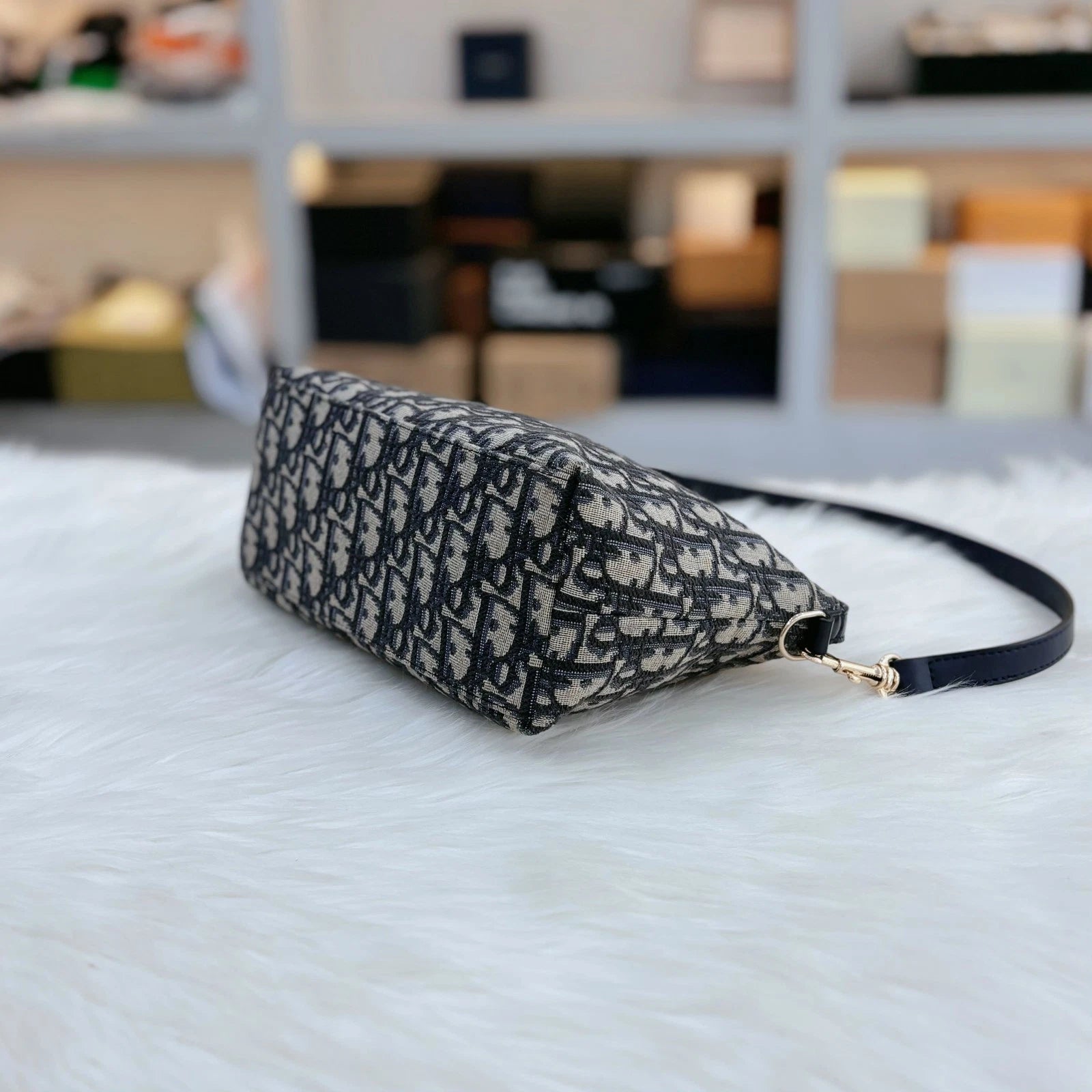 Dior Oblique Embroidered Canvas Lunch Box Bag For Women
