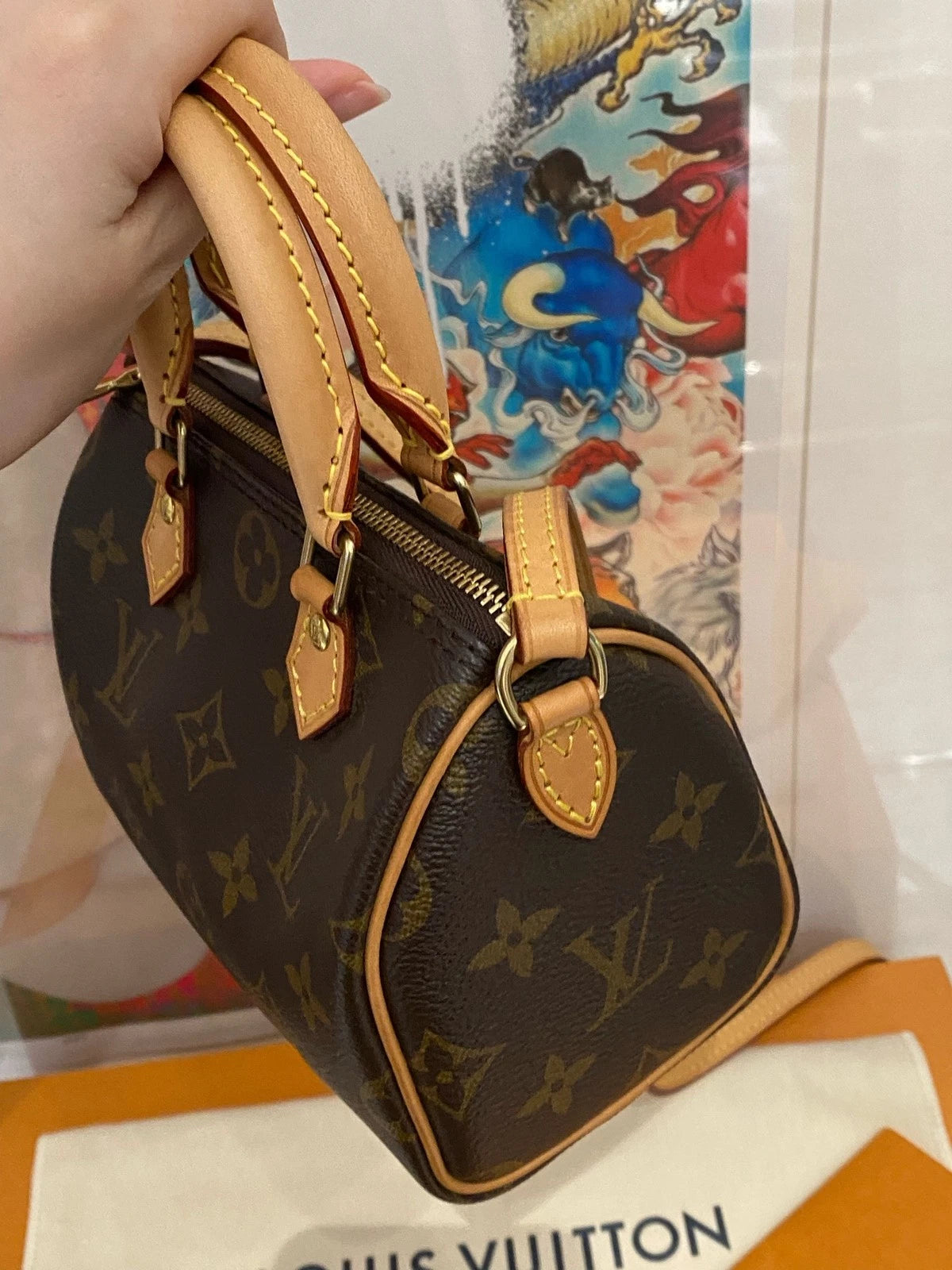 Louis Vuitton Monogram Canvas Speedy Nano Crossbody For Women