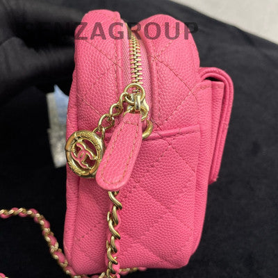 Chanel Camera Bag Pink Gold Hardware Calfskin Chain Shoulder Crossbody