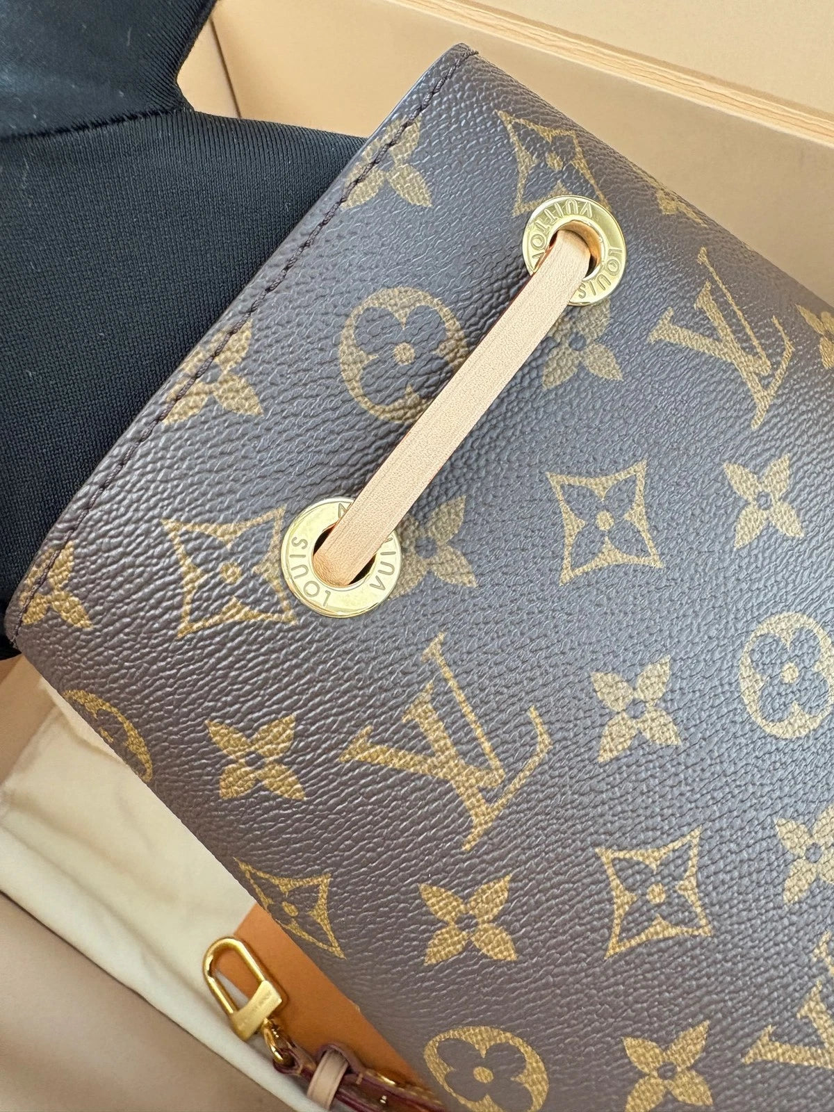 Louis Vuitton NEONOE BB Mini Bucket Bag For Women