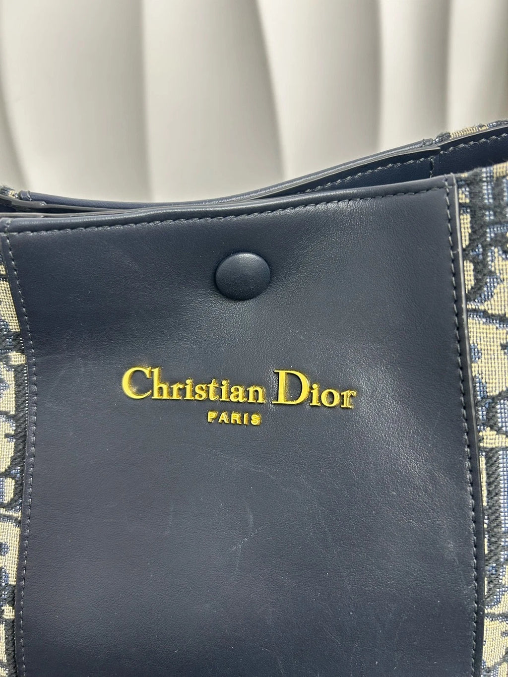 Dior Signature Small Printed Canvas Calfskin Bucket Crossbody Handbag Women