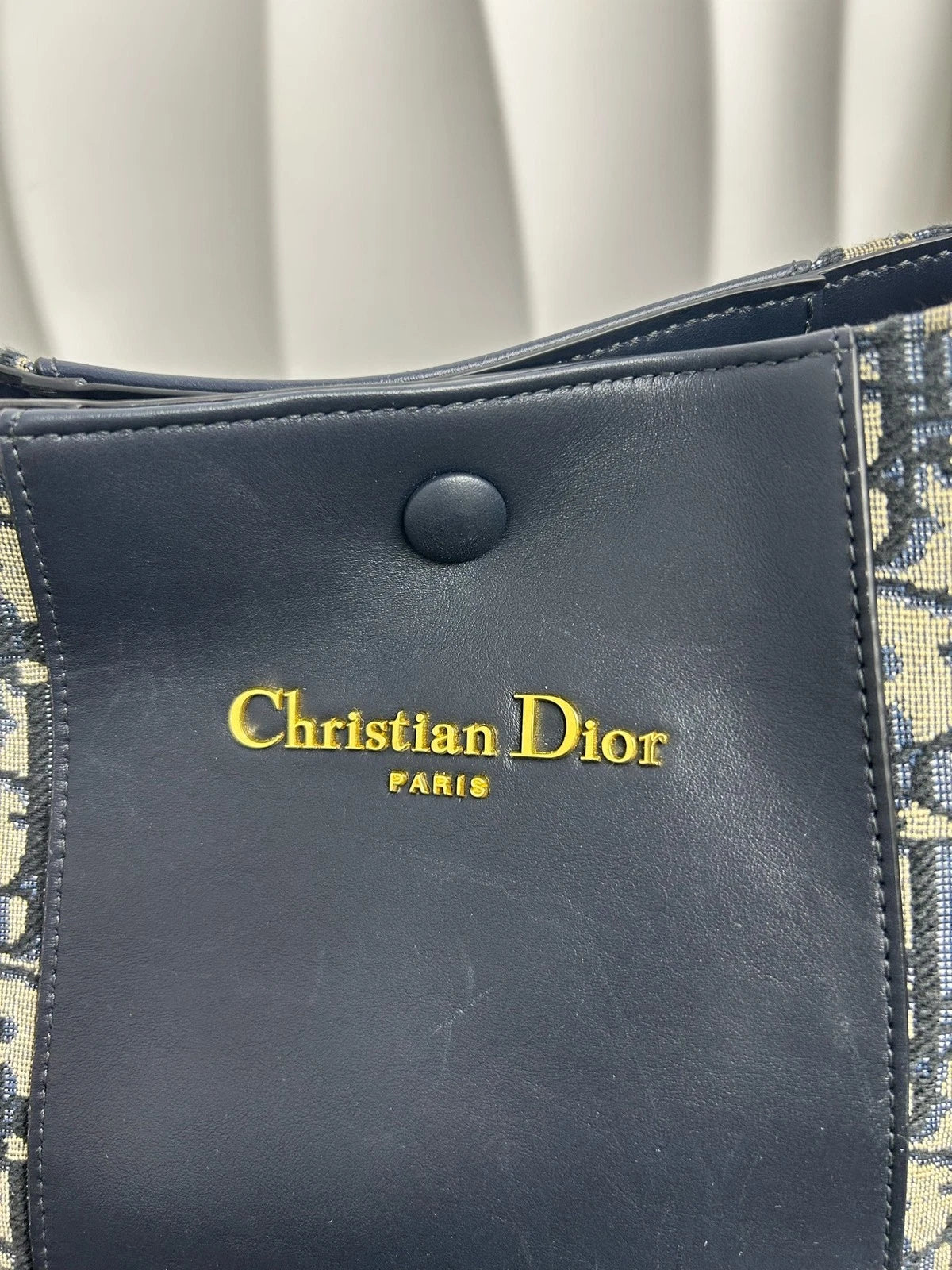 Dior Signature Small Printed Canvas Calfskin Bucket Crossbody Handbag Women