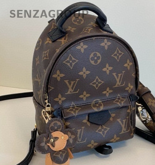 Louis Vuitton Palm Springs Monogram Mini Backpack Shoulder Bag Brown Women