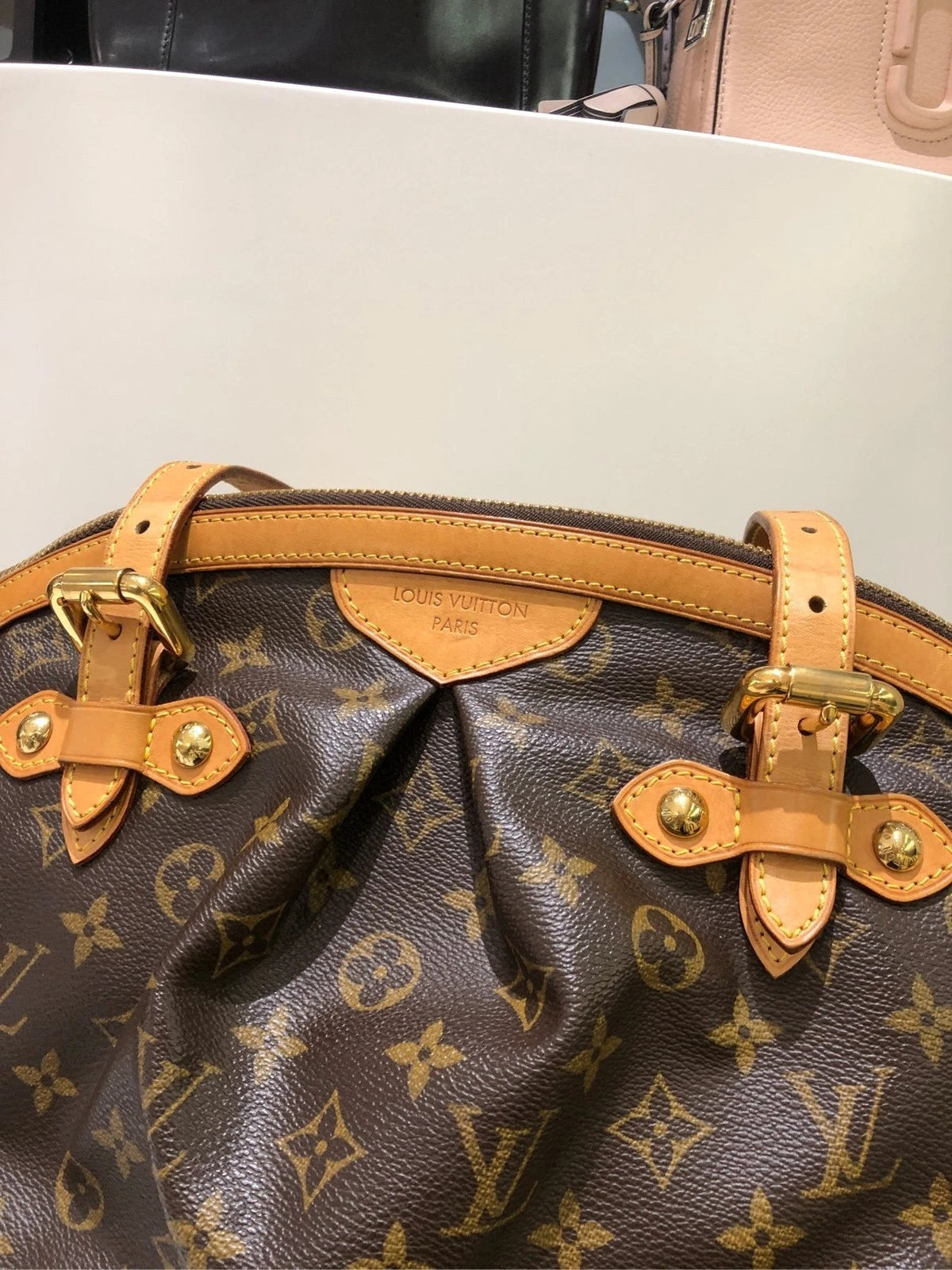 Louis Vuitton Canvas Dumpling Shoulder Bag For Women