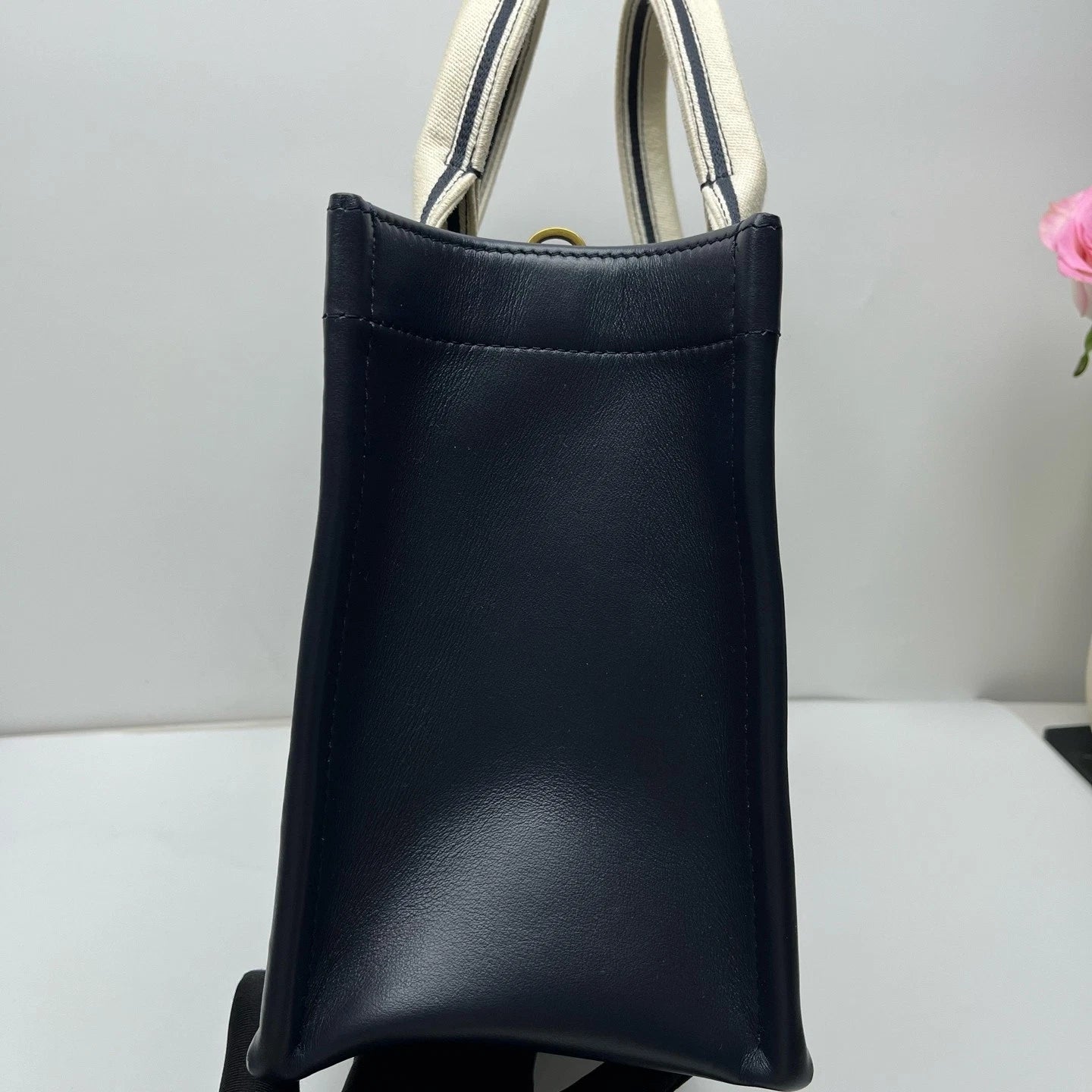 Dior 2024 Canvas Small Tote Bag Luxury Handbag For Women