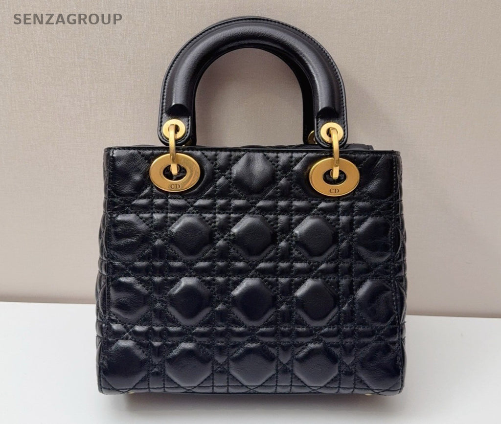 Christian Dior Lady Top Handle Oil-waxed leather 2way Shoulder Handbag Black
