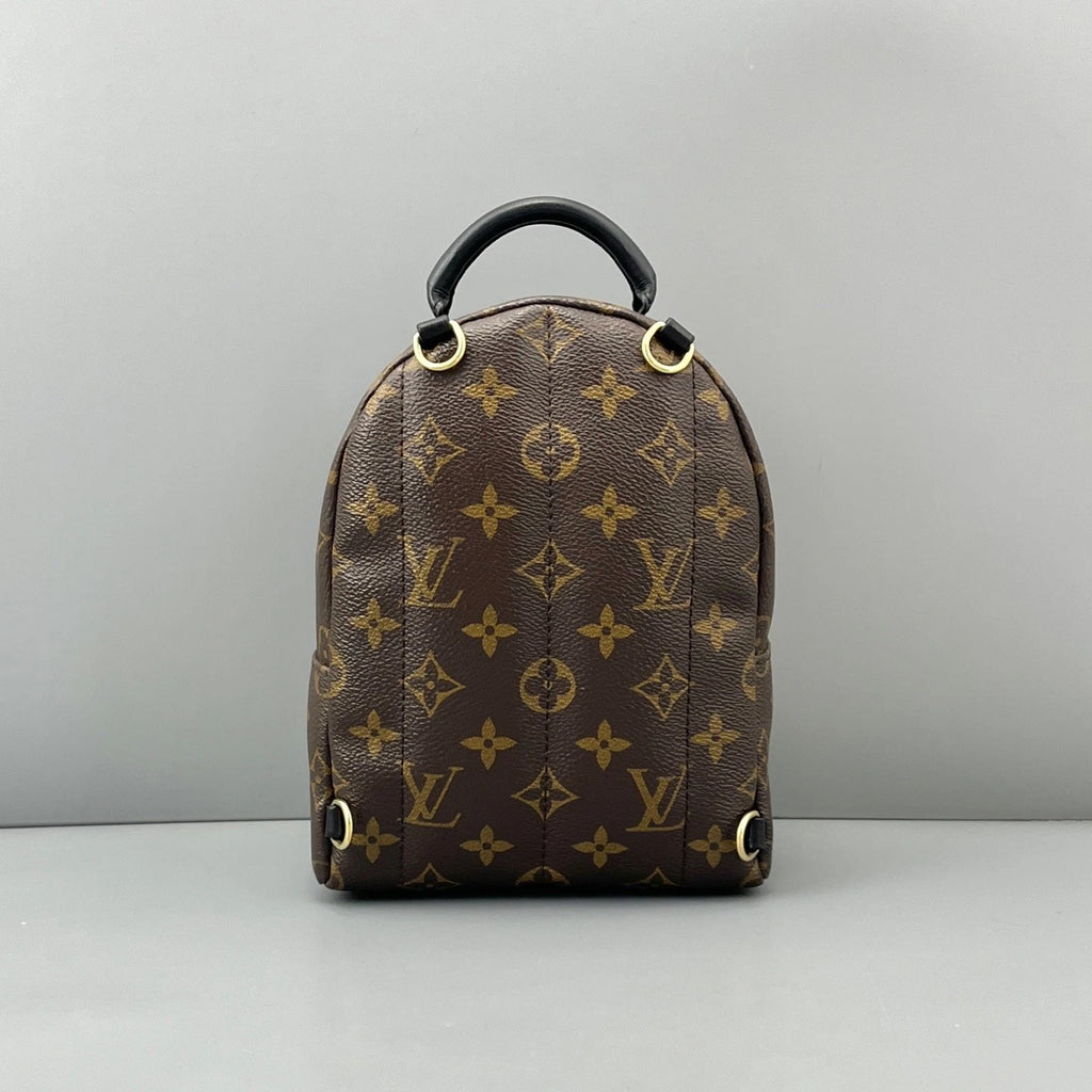 Louis Vuitton Palm Springs Monogram Brown Top Handle Backpack Excellent