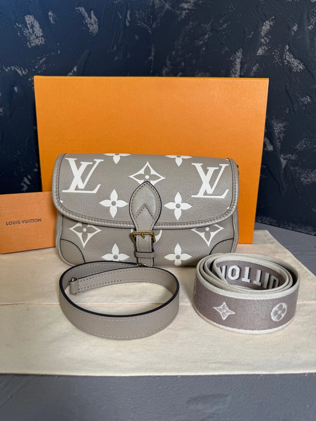 Louis Vuitton Diane Gray Leather Shoulder Bag For Women