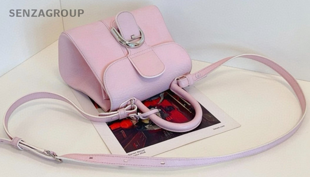Delvaux Brillant mini Top Handle Calfskin2WAY Handbag Crossbody Almost Brand NEW