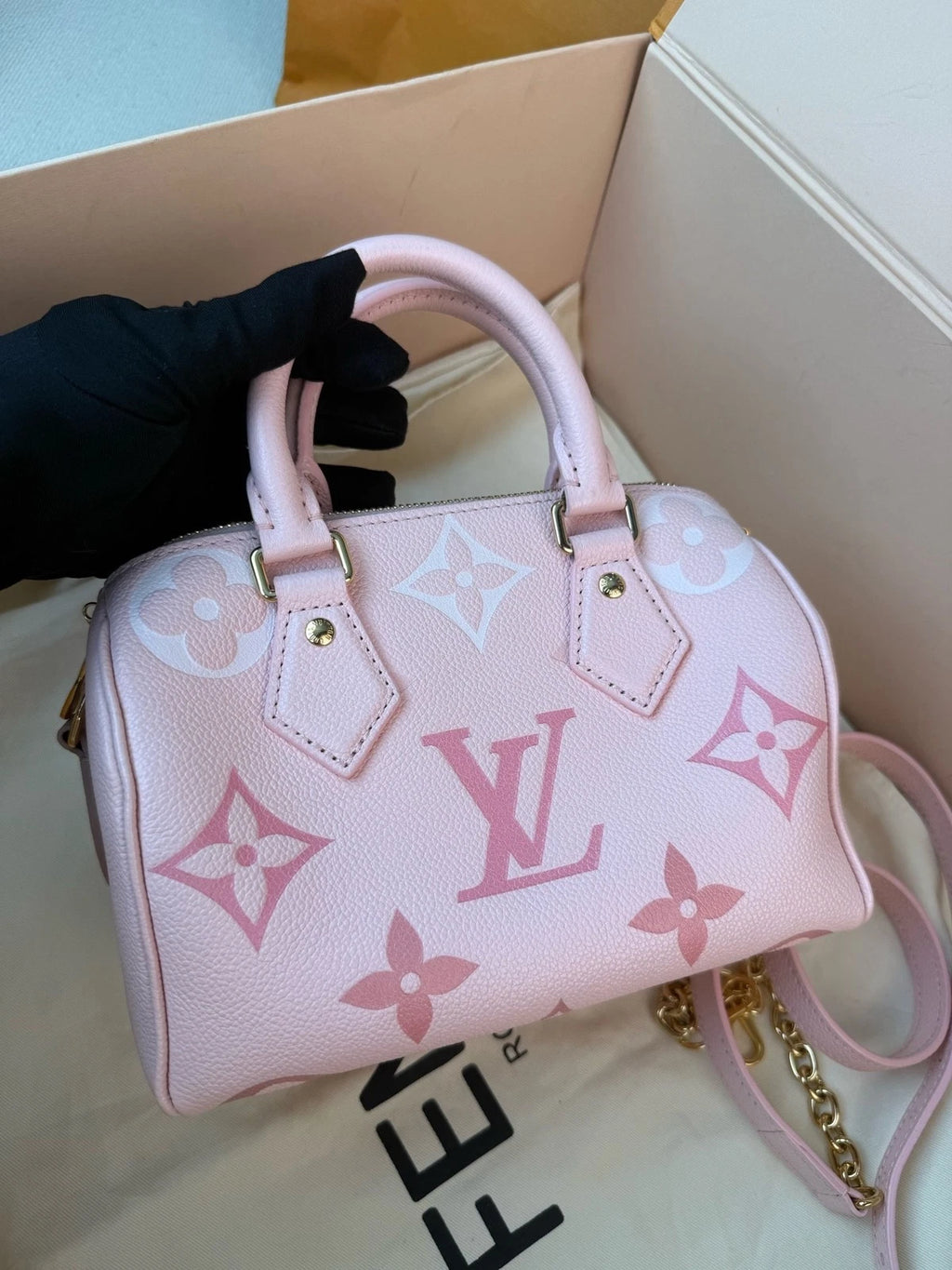 Louis Vuitton Speedy 20 Strawberry Ice Cream Handbag Women