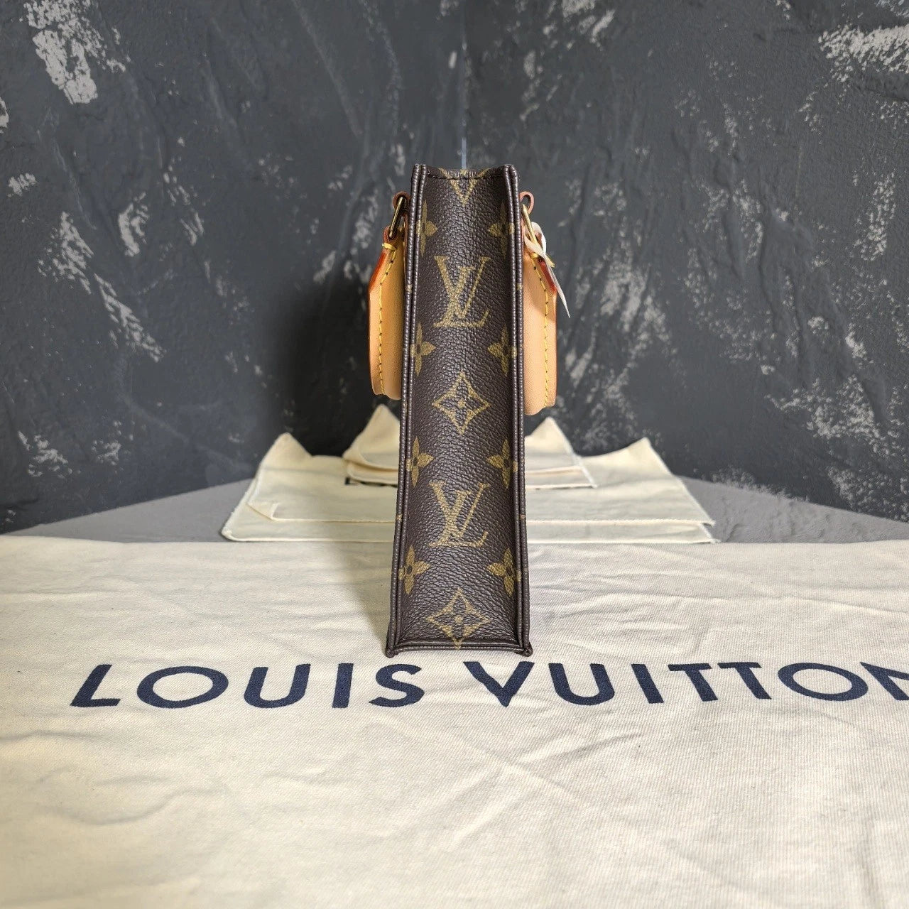 Louis Vuitton Canvas Mini Tote Crossbody Bag For Women