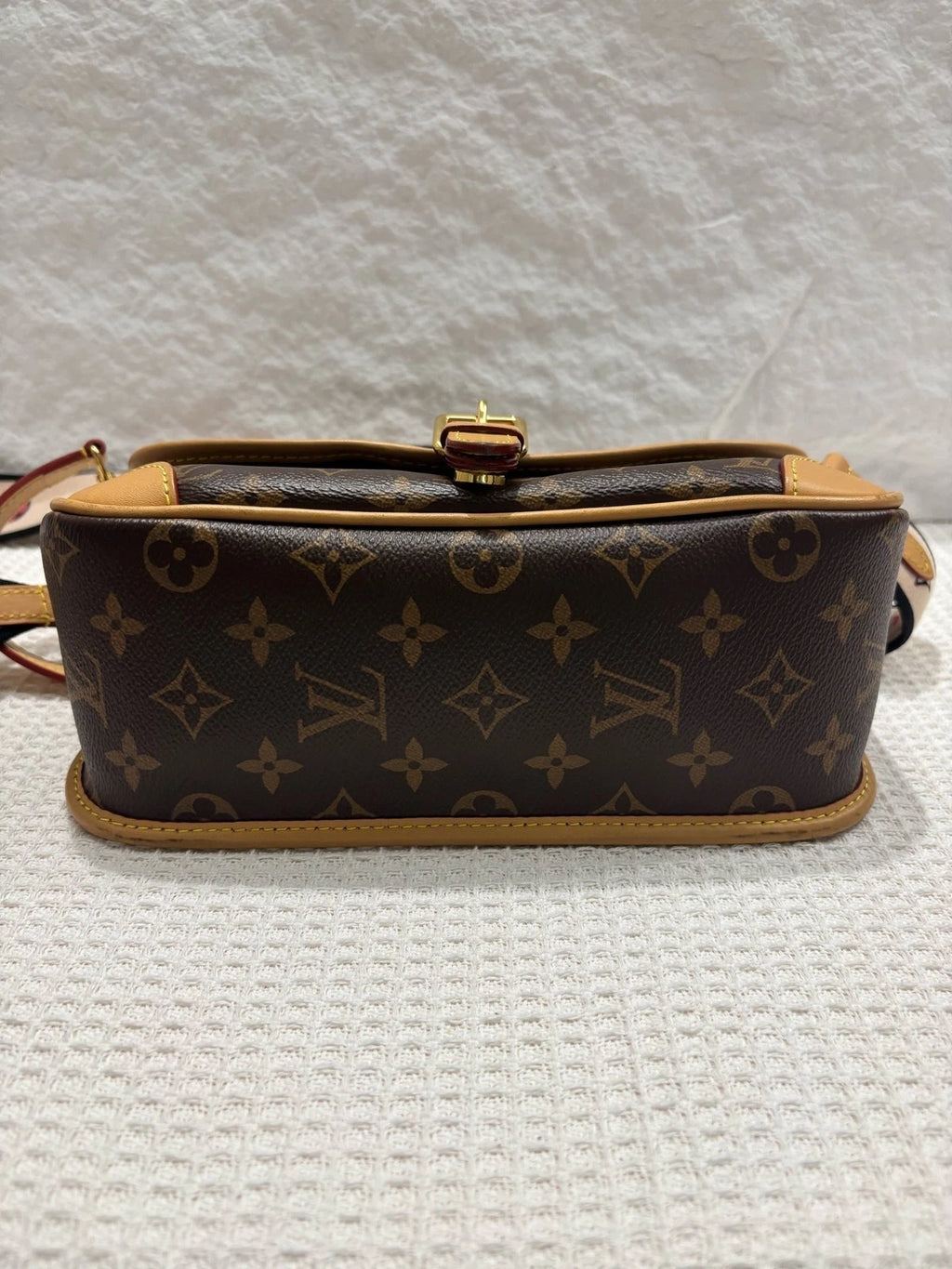Louis Vuitton Diane Canvas Brown Shoulder Bag Excellent