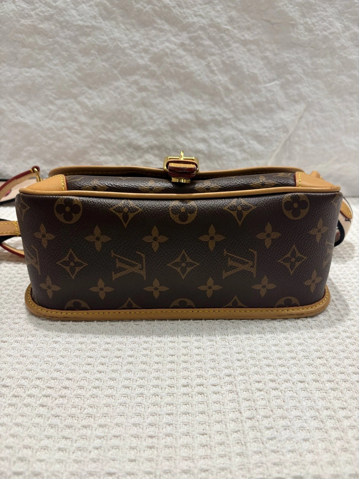 Louis Vuitton Diane Canvas Brown Shoulder Bag Excellent