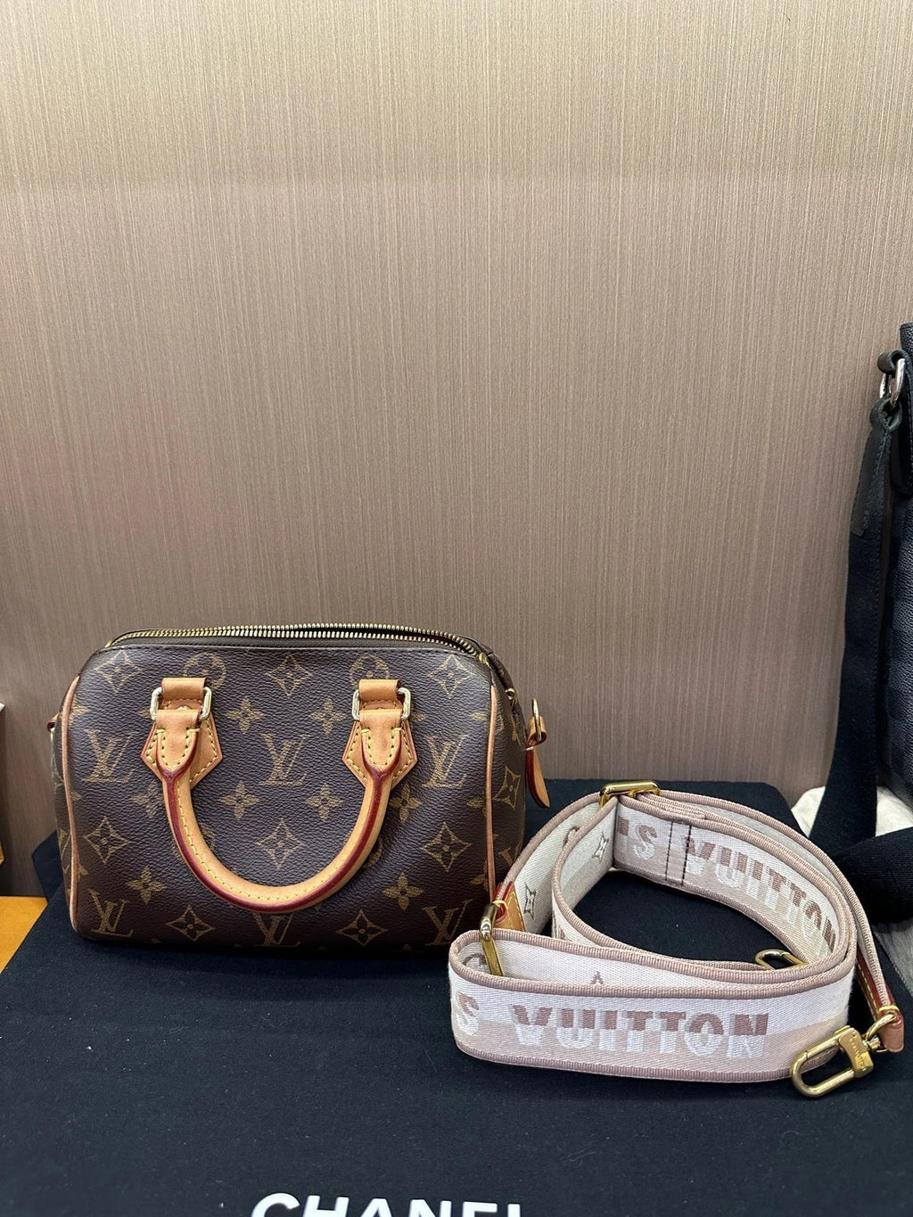 Louis Vuitton Speedy 20 Canvas Crossbody Bag For Women