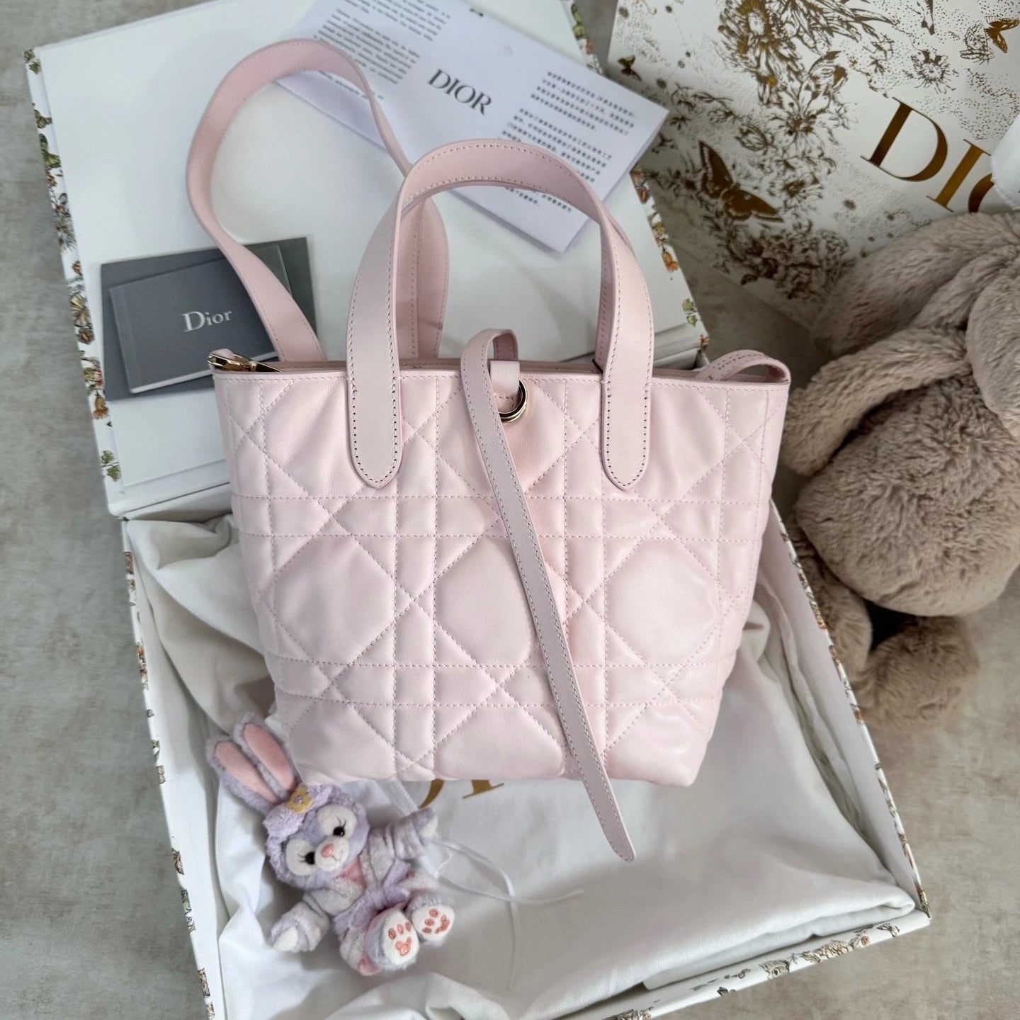 New Dior Toujours Vertical Small Sakura Pink Bag For Women