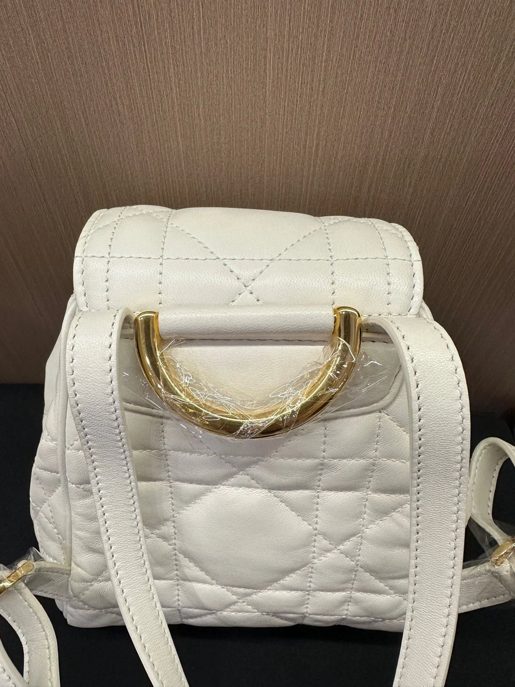 Dior Caro Small Calfskin Backpack For Women, Brand New Unused