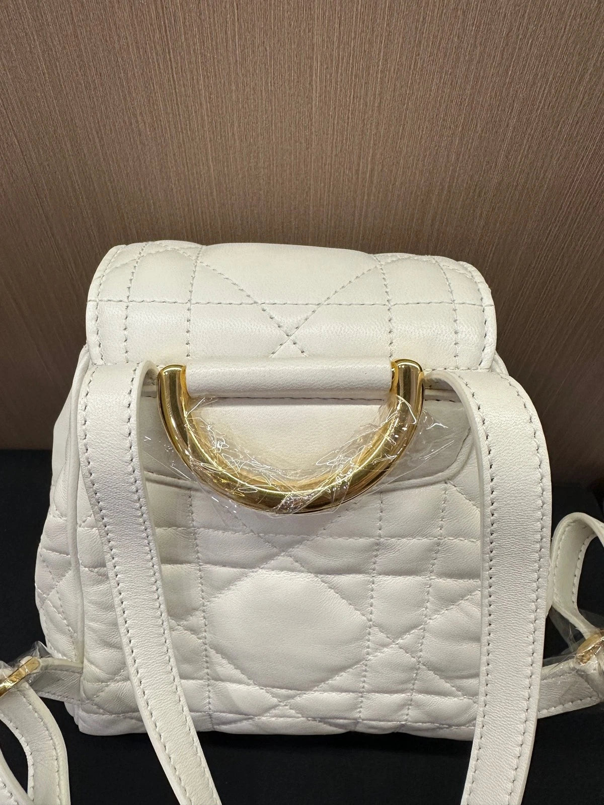Dior Caro Small Calfskin Backpack For Women, Brand New Unused