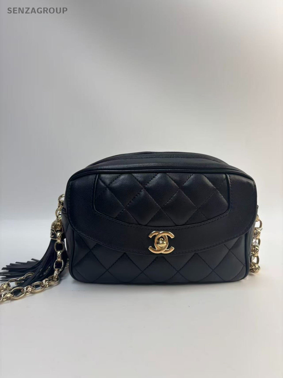SJ0001 chanel camera bag