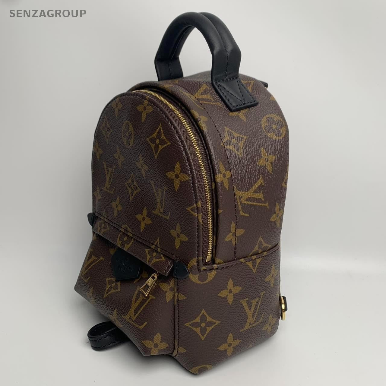 SJ0001 LV palm Spring mini backpack