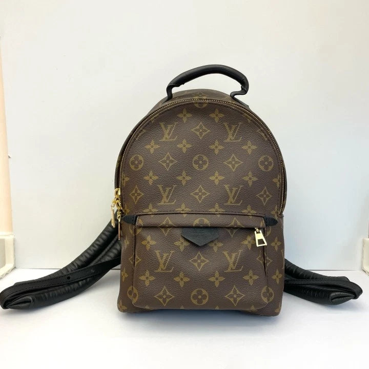 Louis Vuitton Canvas Monogram Palm Springs Small Backpack Women