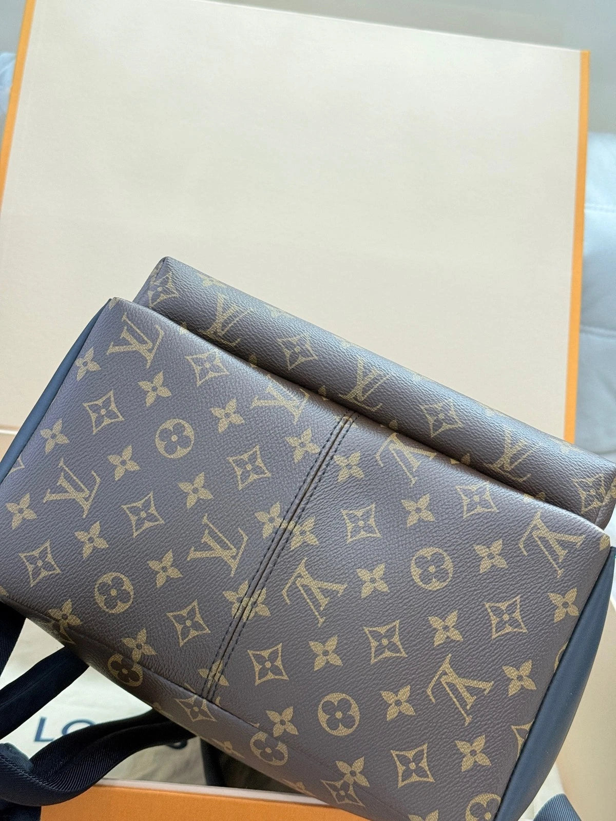 Louis Vuitton Monogram Canvas Small Apollo Backpack For Women