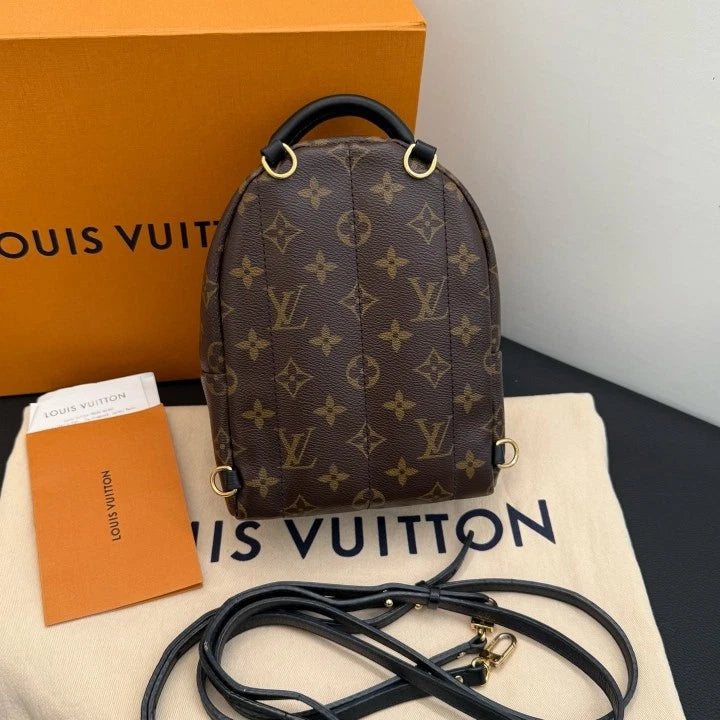 Louis Vuitton Palm Springs Mini Monogram Backpack Brown Gold Unisex Adults D