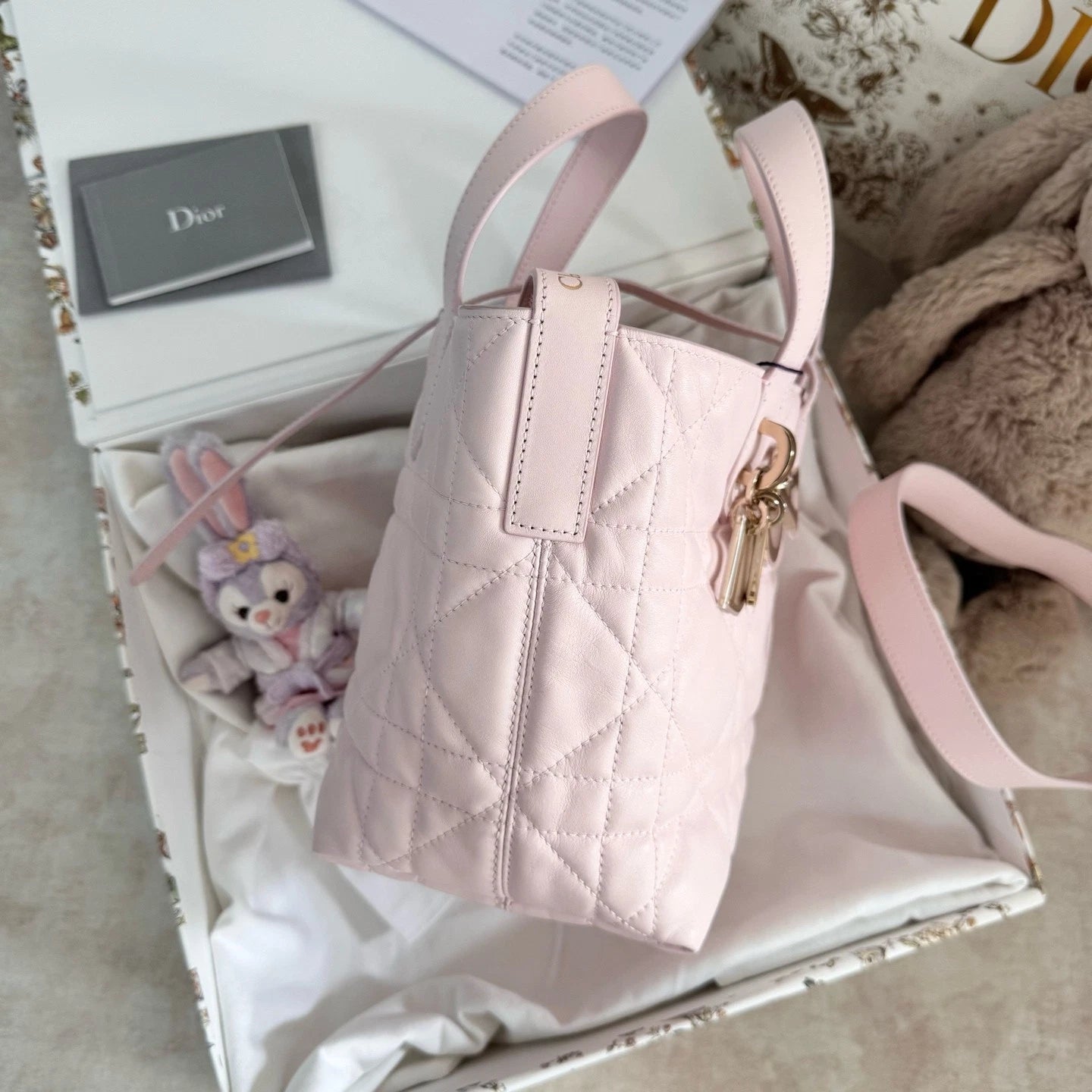 New Dior Toujours Vertical Small Sakura Pink Bag For Women