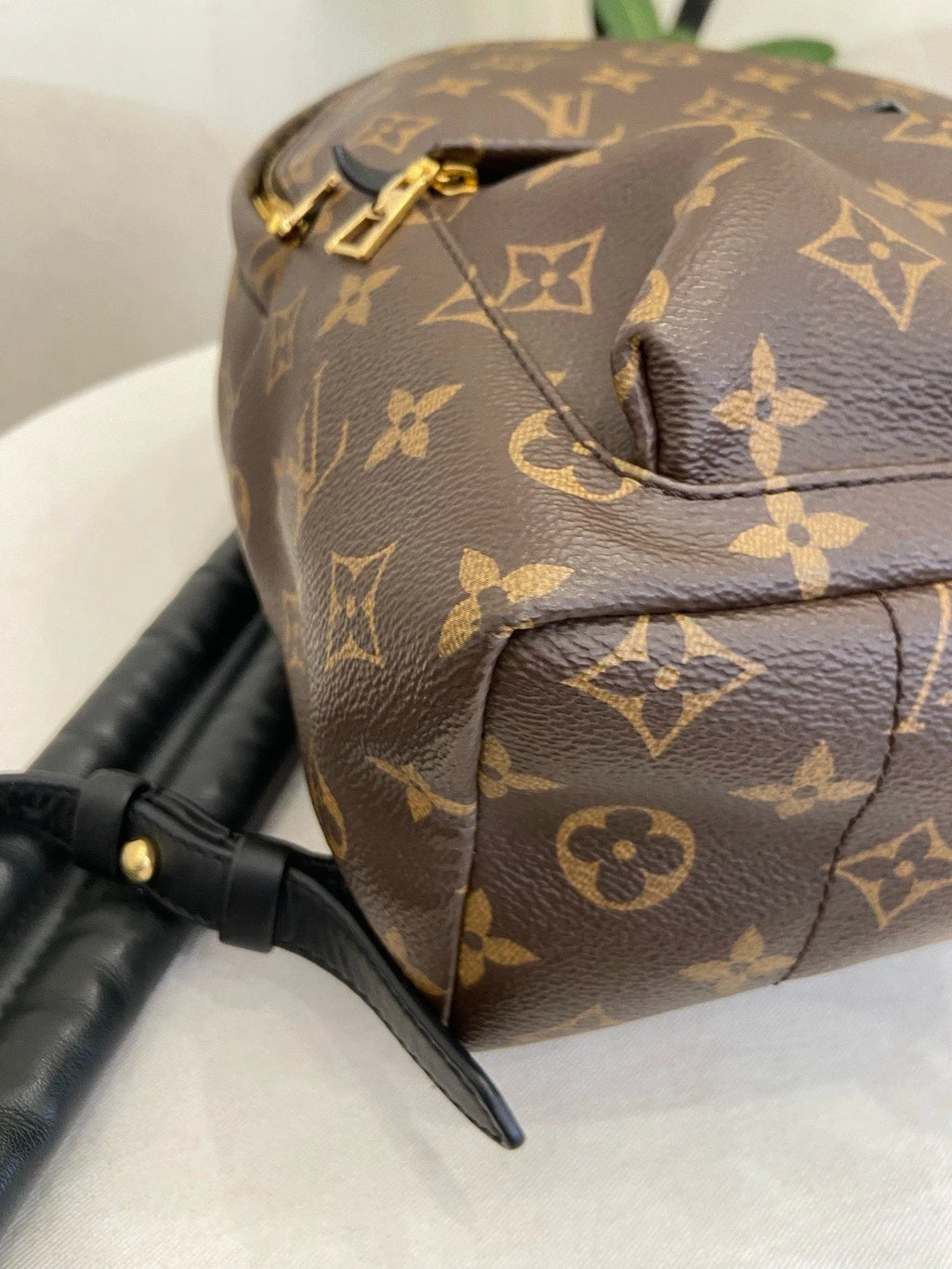 Louis Vuitton Palm Springs PM Monogram Backpack Brown Gold Unisex Adults Classic
