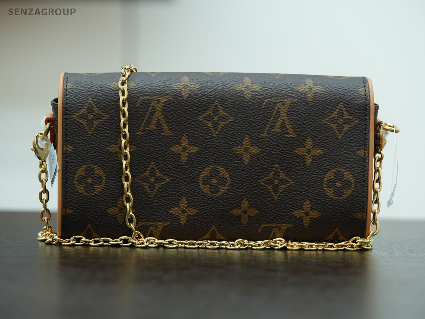 Louis Vuitton Pochette Camille Monogram Chain Shoulder bag Brown Women M13566