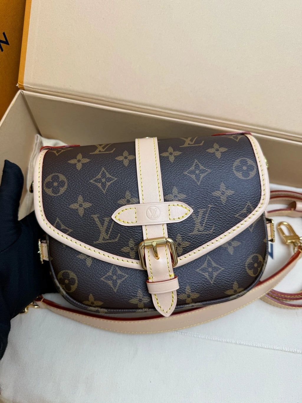 Louis Vuitton Canvas Twin Shoulder Bag For Women