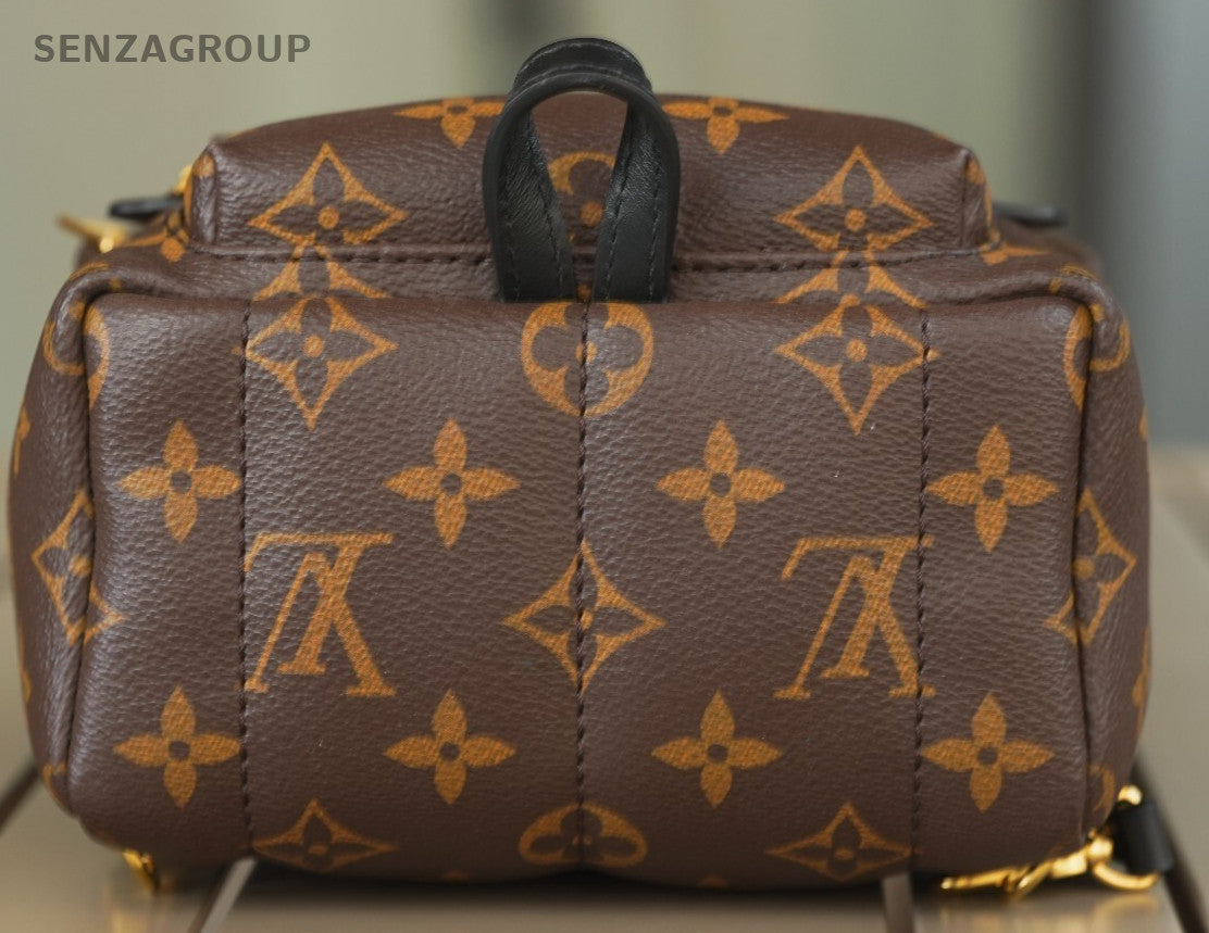 Louis Vuitton Palm Springs Backpack Mini  Canvas M44873