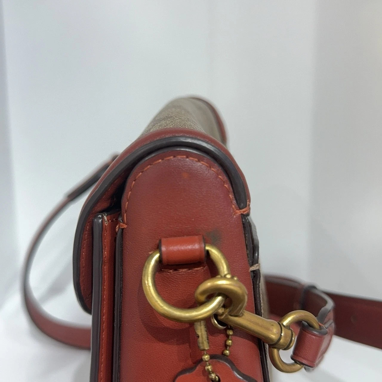 COACH Jade Monogram Canvas Leather Monster Print Crossbody Women