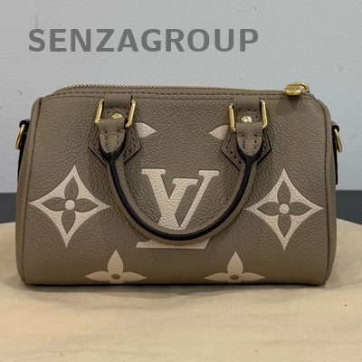 Louis Vuitton Monogram Speedy Nano Bag Grey Gold Women's Handbag