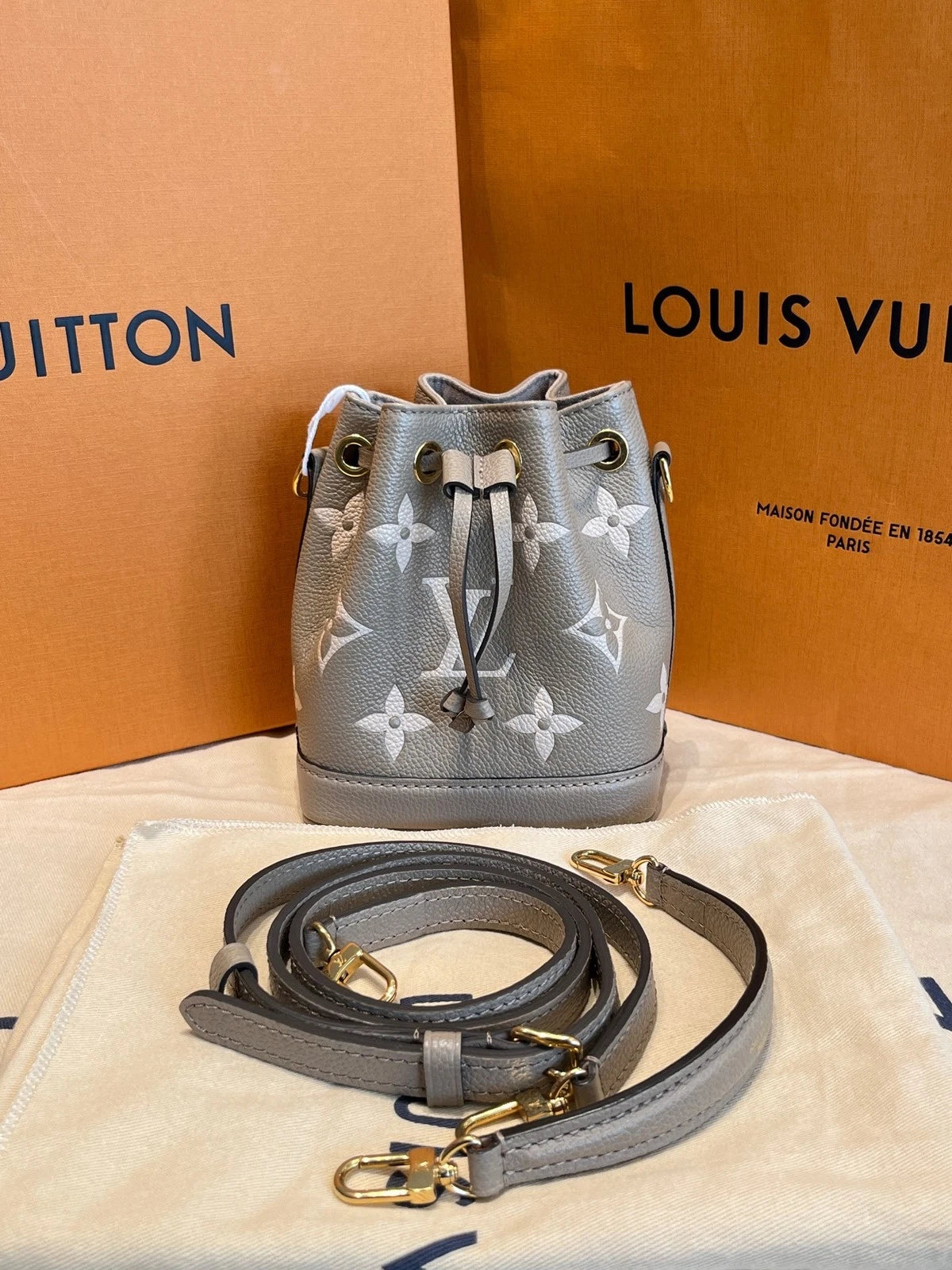 Louis Vuitton Canvas Nano Noe Gray Bucket Crossbody Bag For Women