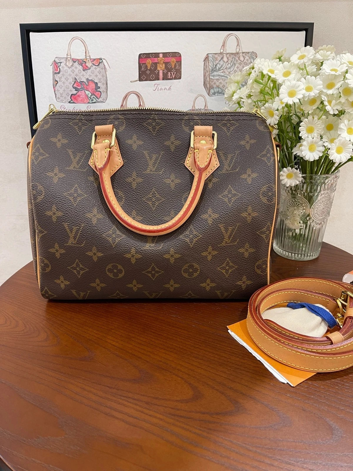 Louis Vuitton Speedy25 Canvas Shoulder Handbag For Women